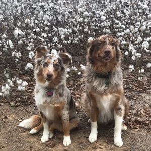 Meet your Posher, Charlie